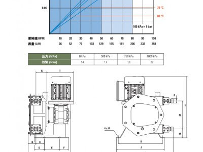 西班牙Peribest軟管泵(化工）-C12圖3