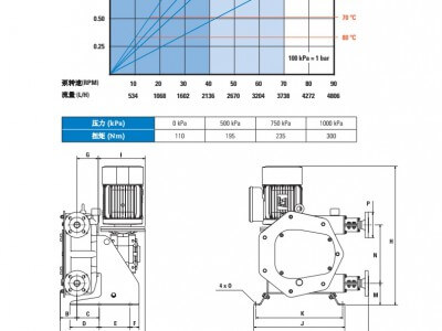 西班牙Peribest軟管泵(工業(yè)）-I35圖3