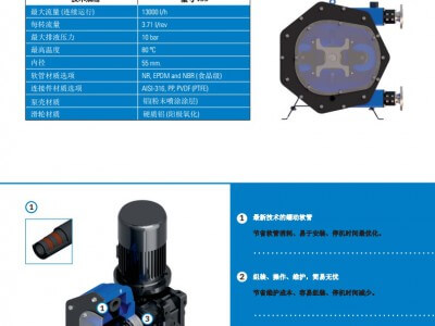 西班牙Peribest軟管泵(工業(yè)）-I55圖2